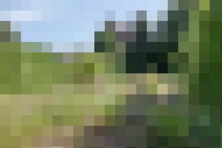 Varenstraat 23 Geldrop thumbnail 13