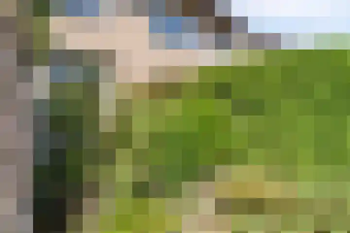 Varenstraat 23 Geldrop thumbnail 15