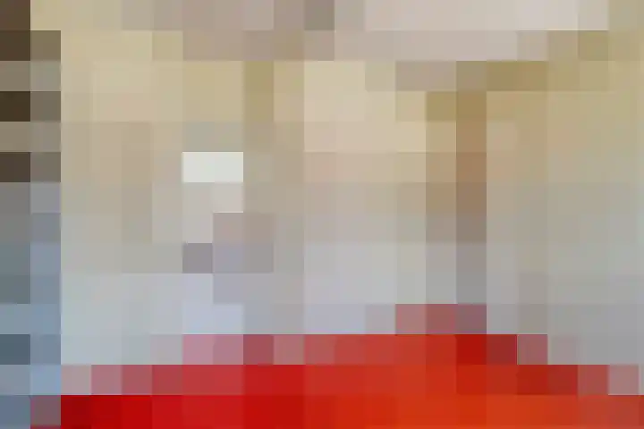 Varenstraat 23 Geldrop thumbnail 26