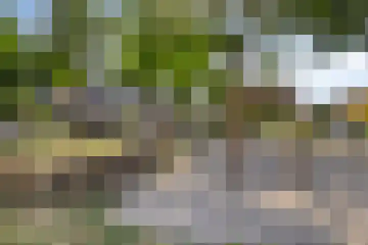 Varenstraat 23 Geldrop thumbnail 32