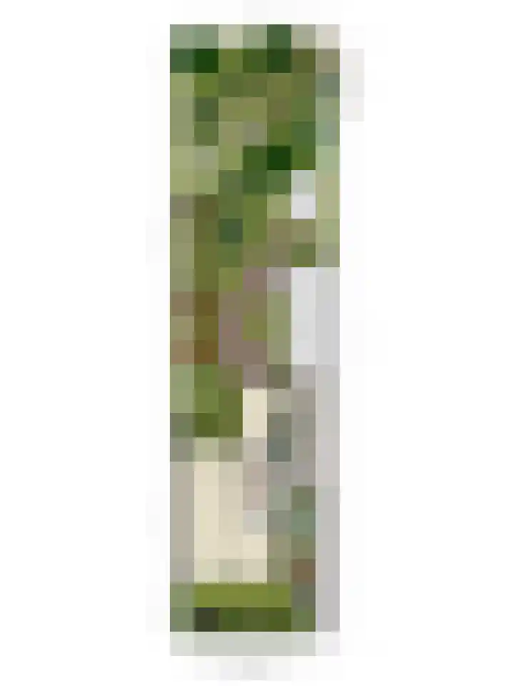Varenstraat 23 Geldrop thumbnail 34