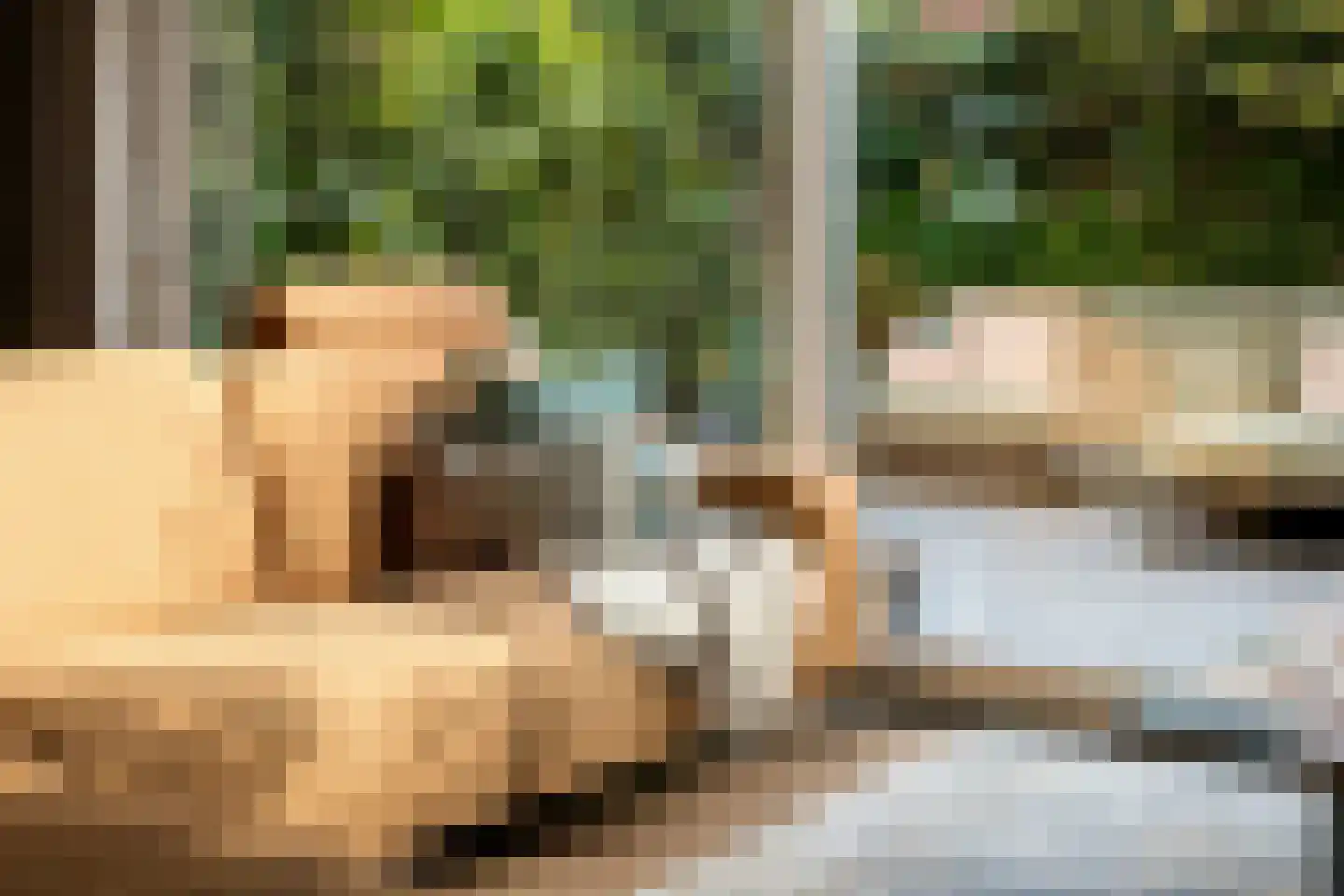 Varenstraat 33 Landsmeer thumbnail 19