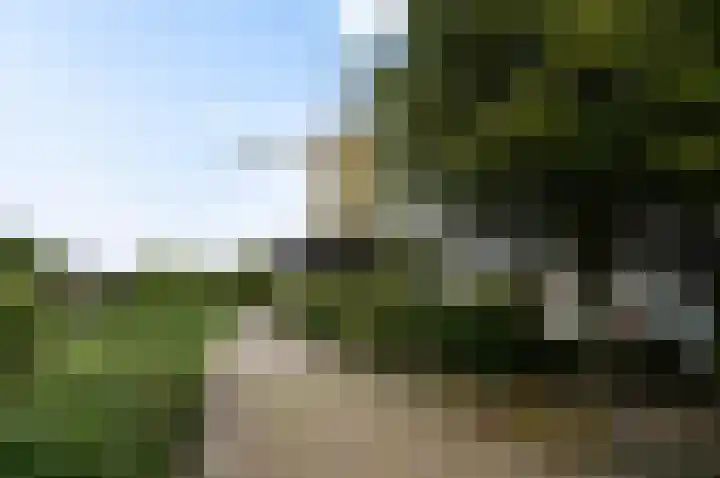 Varenstraat 7 Monster thumbnail 25