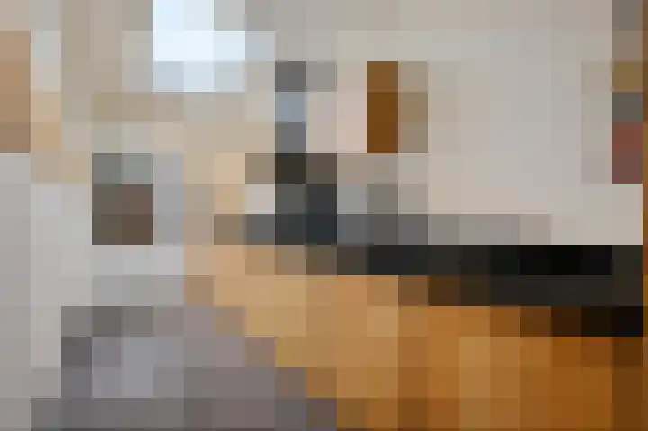 Varenstraat 7 Monster thumbnail 9