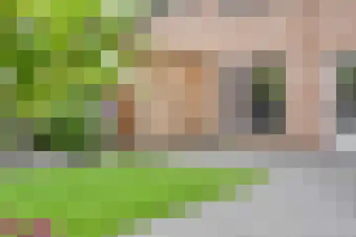 Varenwoltlanden 38 Enschede thumbnail 27