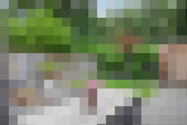 Varenwoltlanden 38 Enschede thumbnail 28