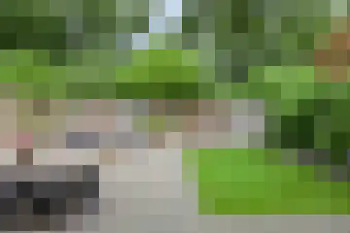 Varenwoltlanden 38 Enschede thumbnail 30