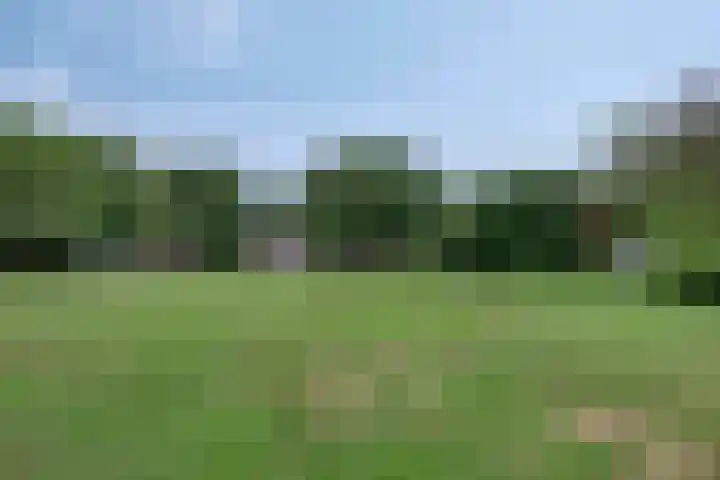 Varenwoltlanden 38 Enschede thumbnail 34