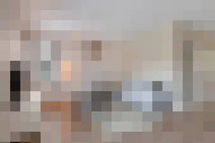 Varenwoltlanden 38 Enschede thumbnail 8