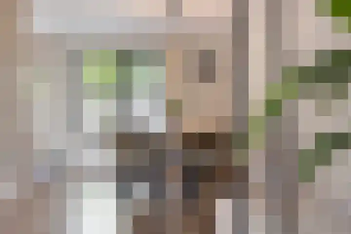 Varenwoltlanden 38 Enschede thumbnail 9