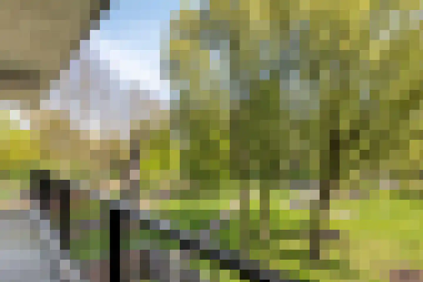 Varèsepark 36 Eindhoven thumbnail 9