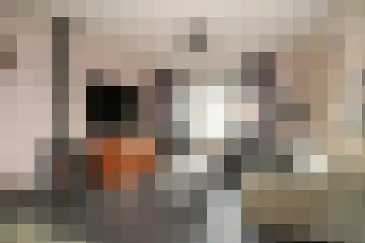 Variksestraat 46 Heerewaarden thumbnail 10