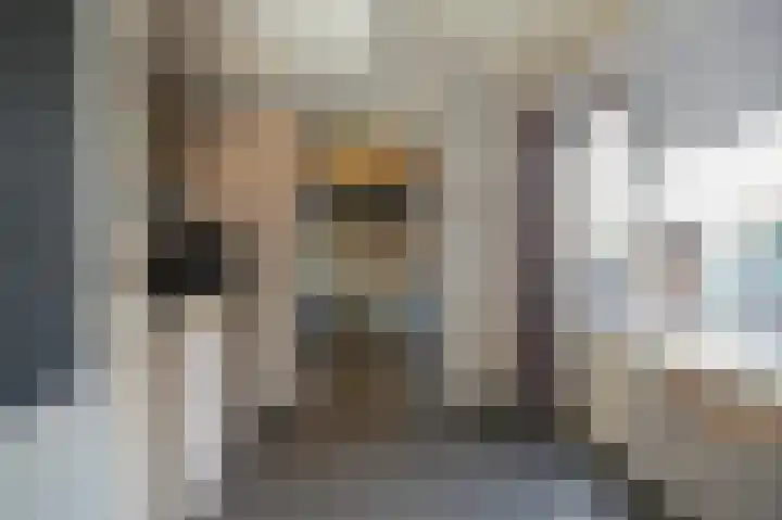 Variksestraat 46 Heerewaarden thumbnail 13