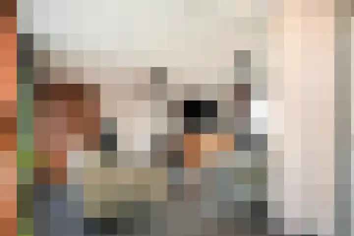 Variksestraat 46 Heerewaarden thumbnail 5