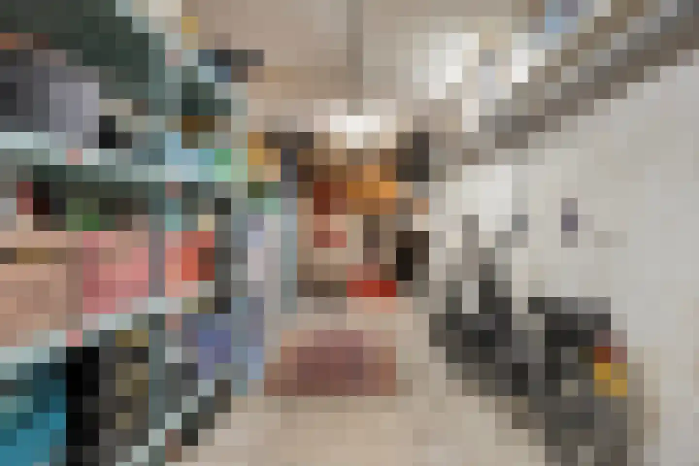 Varkenmarkt 5 Gorinchem thumbnail 28
