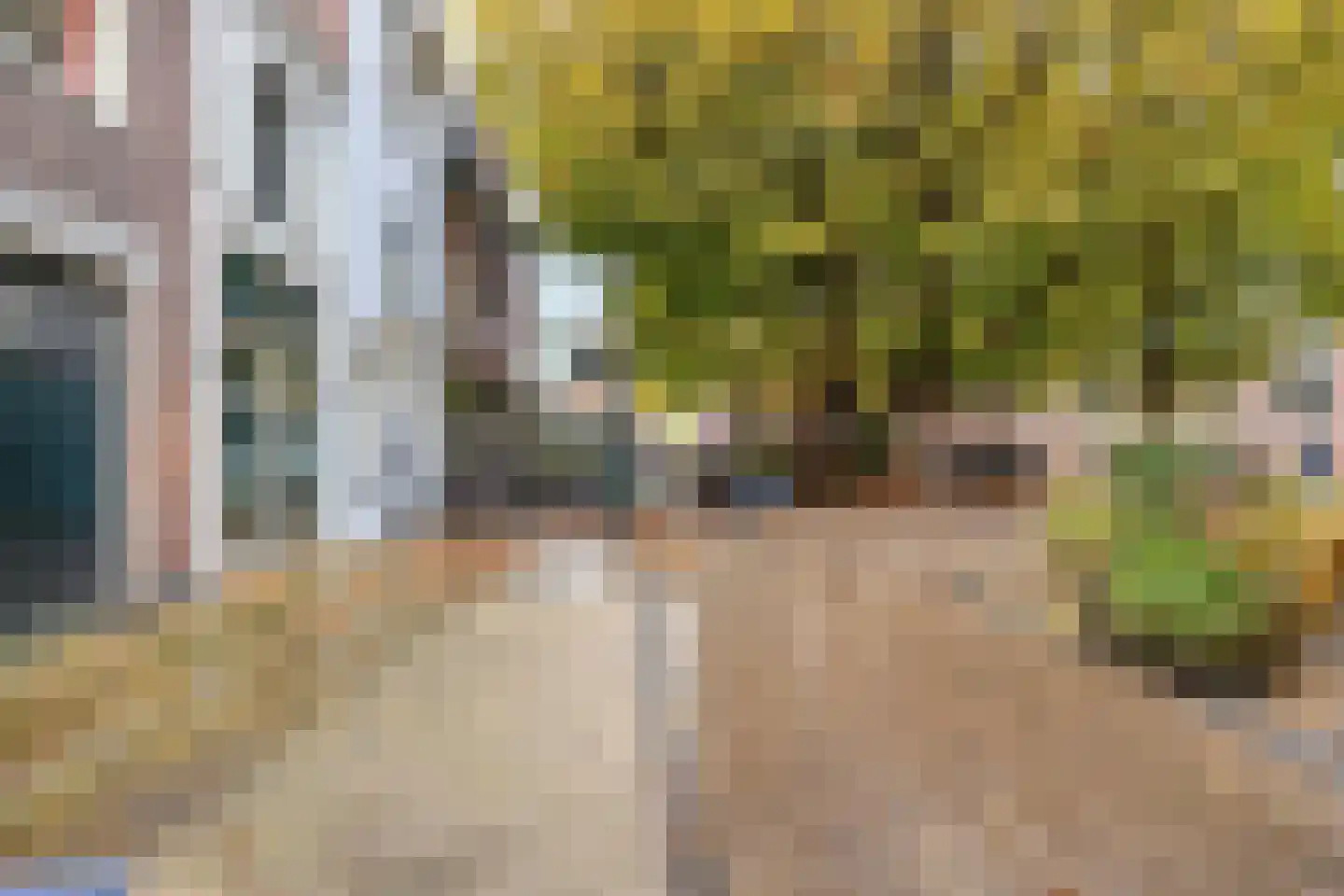 Varkenmarkt 5 Gorinchem thumbnail 8