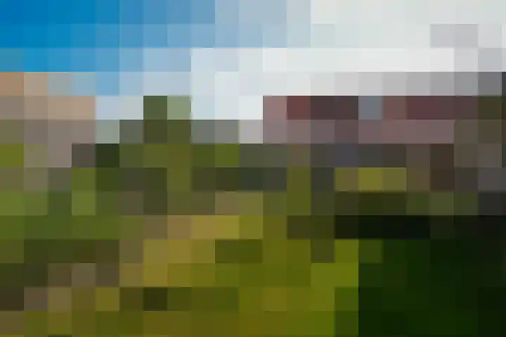 Varkensmarkt 11 Wamel thumbnail 33