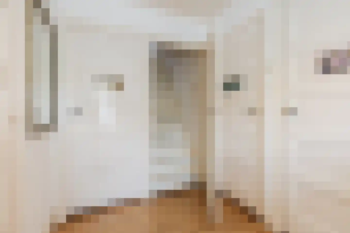 Varkensmarkt 15 Hilvarenbeek thumbnail 33