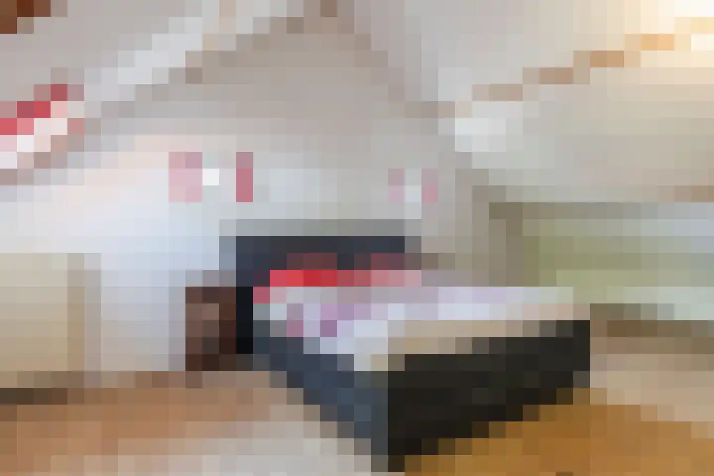 Varkensmarkt 15 Hilvarenbeek thumbnail 35