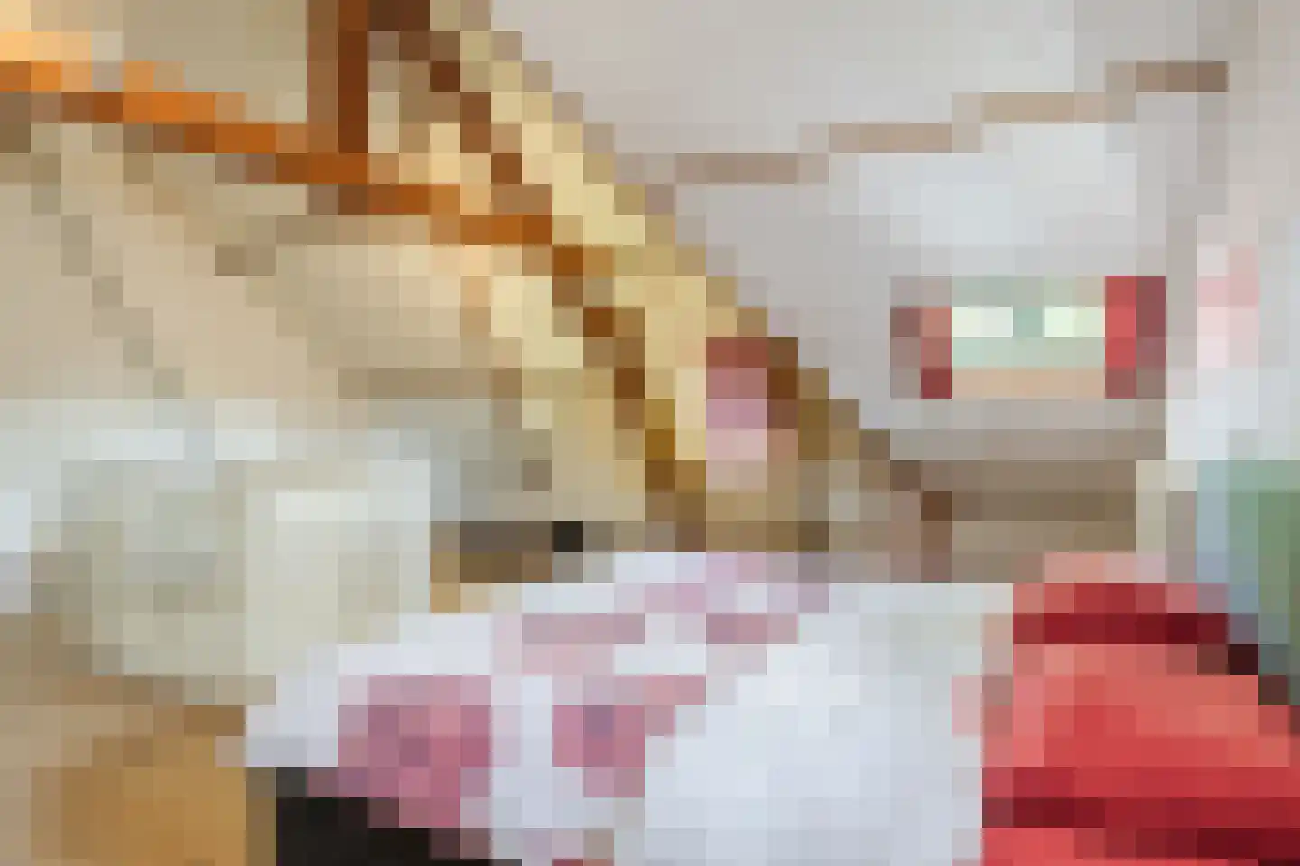 Varkensmarkt 15 Hilvarenbeek thumbnail 36
