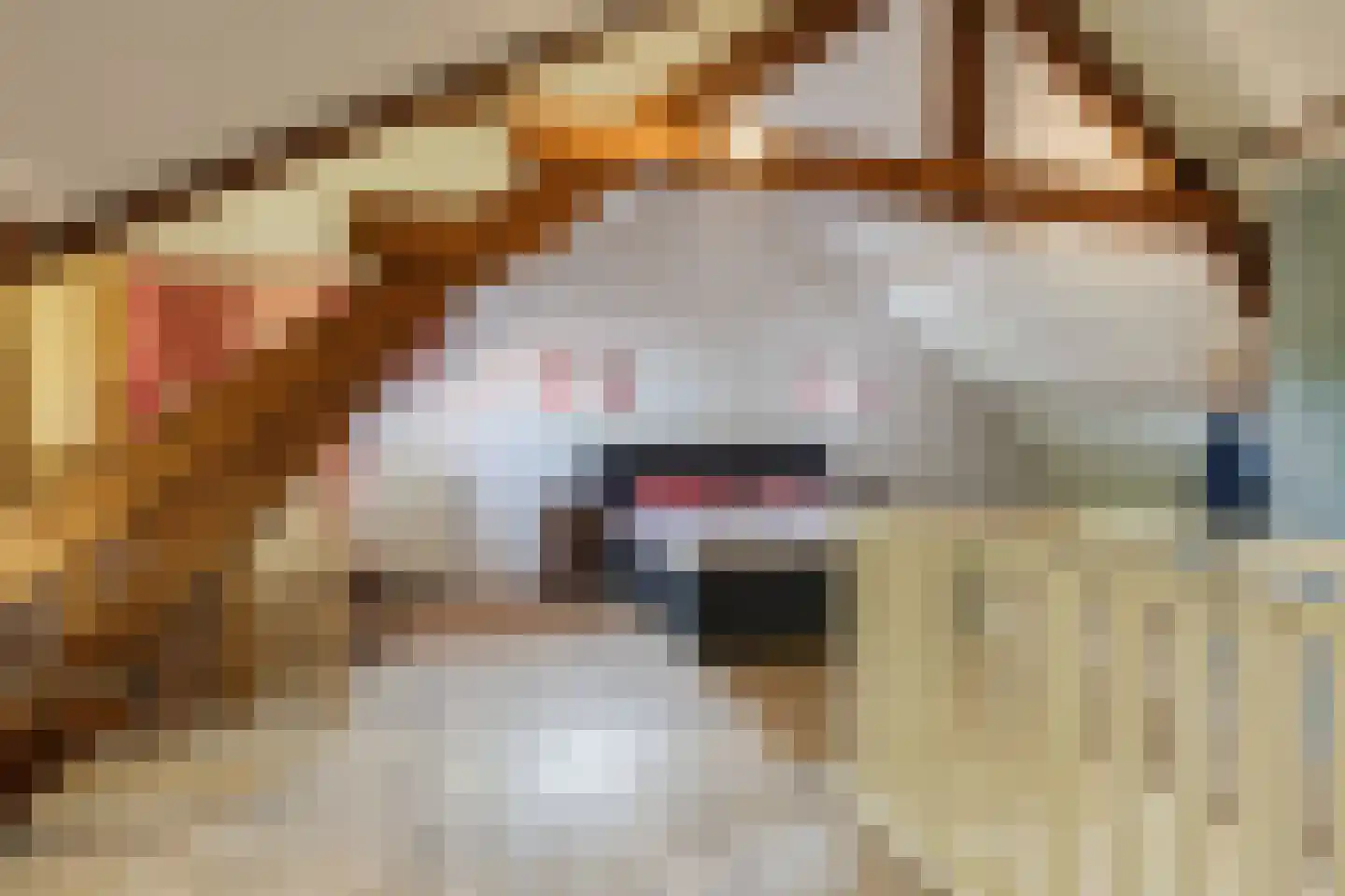 Varkensmarkt 15 Hilvarenbeek thumbnail 37