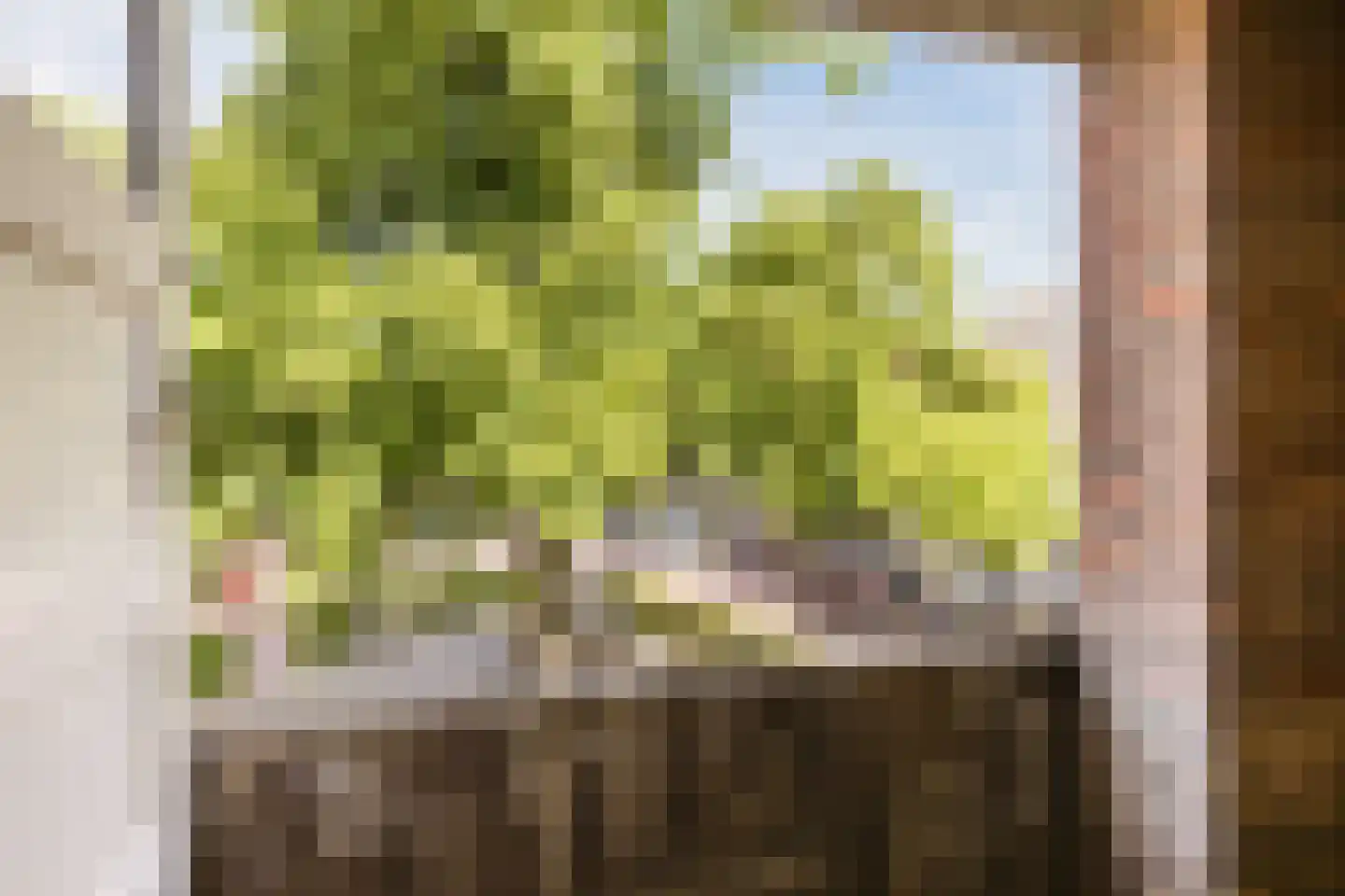 Varkensmarkt 15 Hilvarenbeek thumbnail 38