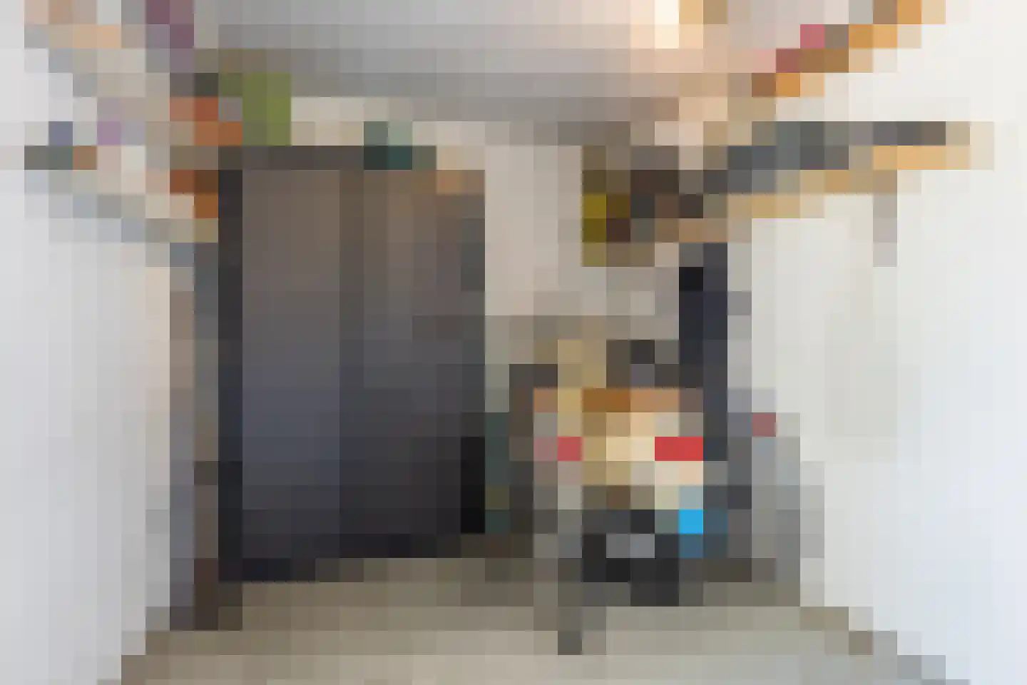 Varkensmarkt 15 Hilvarenbeek thumbnail 39