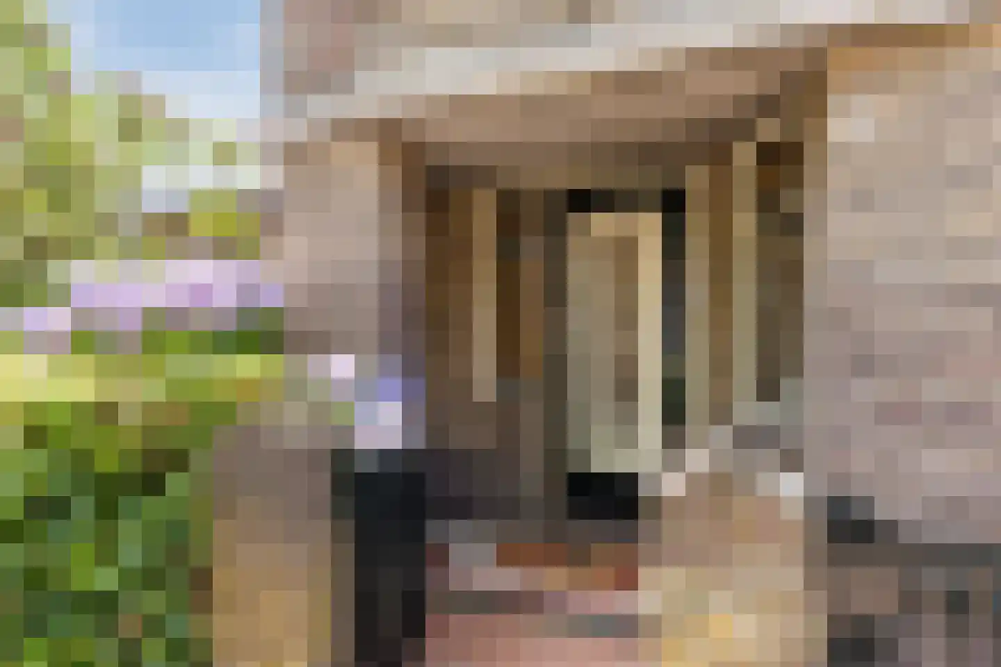 Varkensmarkt 15 Hilvarenbeek thumbnail 4