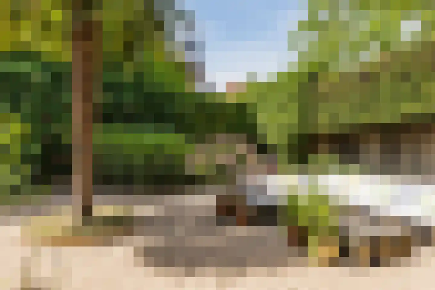 Varkensmarkt 15 Hilvarenbeek thumbnail 41