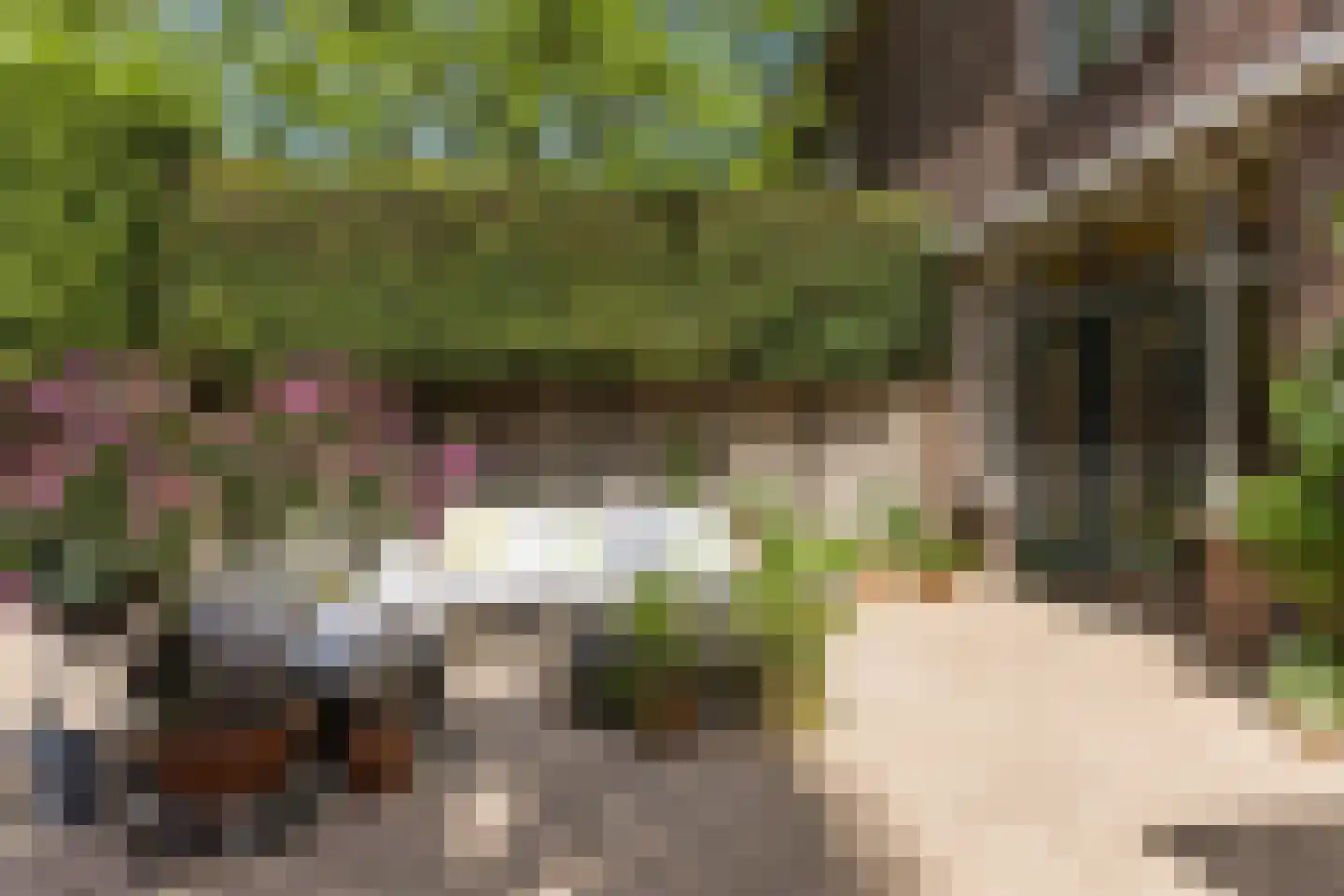 Varkensmarkt 15 Hilvarenbeek thumbnail 42