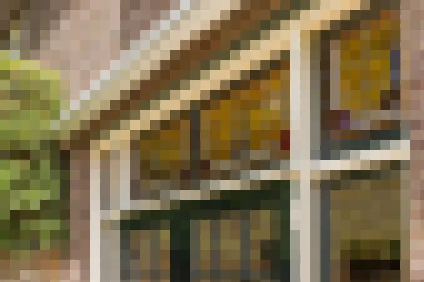 Varkensmarkt 15 Hilvarenbeek thumbnail 46