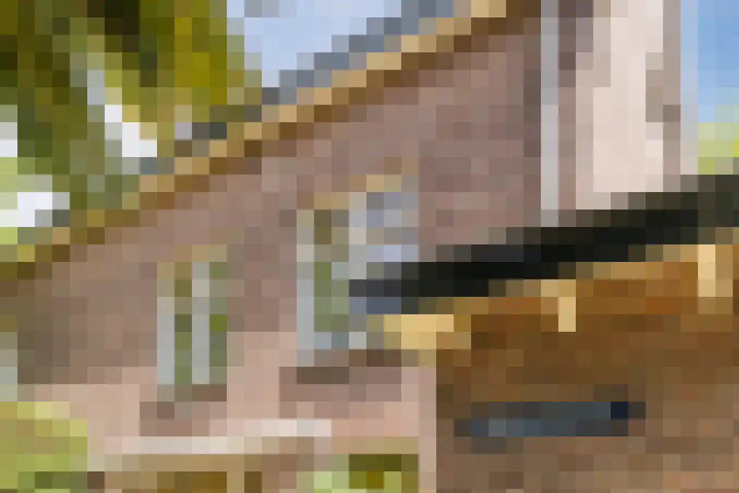 Varkensmarkt 15 Hilvarenbeek thumbnail 47