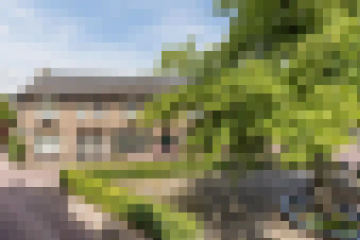 Varkensmarkt 15 Hilvarenbeek thumbnail 50