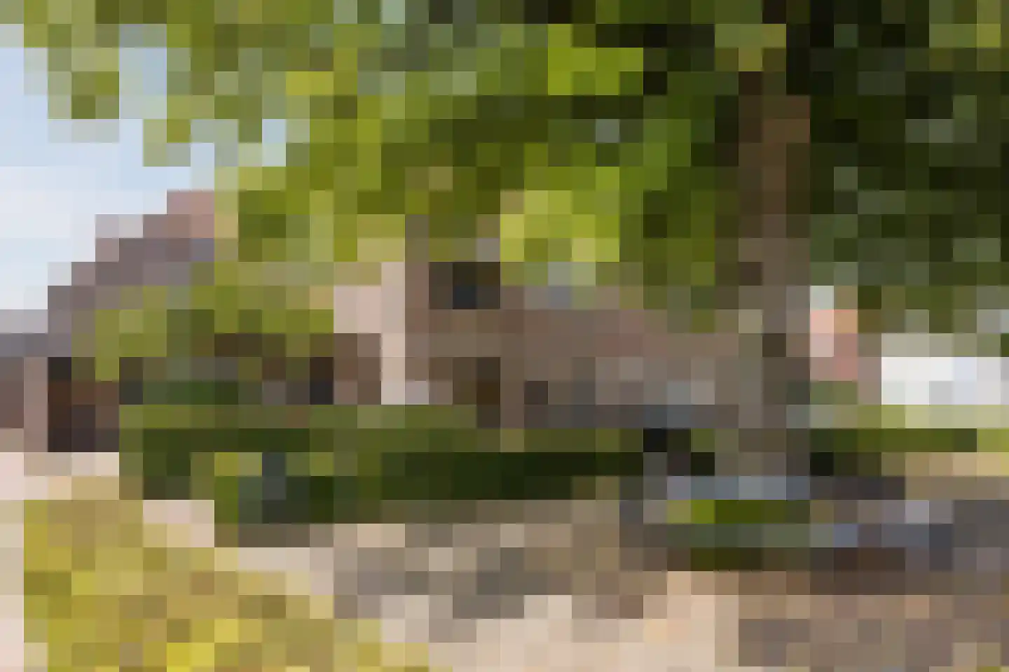Varkensmarkt 15 Hilvarenbeek thumbnail 52