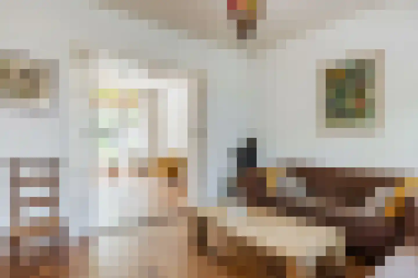 Varkensmarkt 15 Hilvarenbeek thumbnail 6