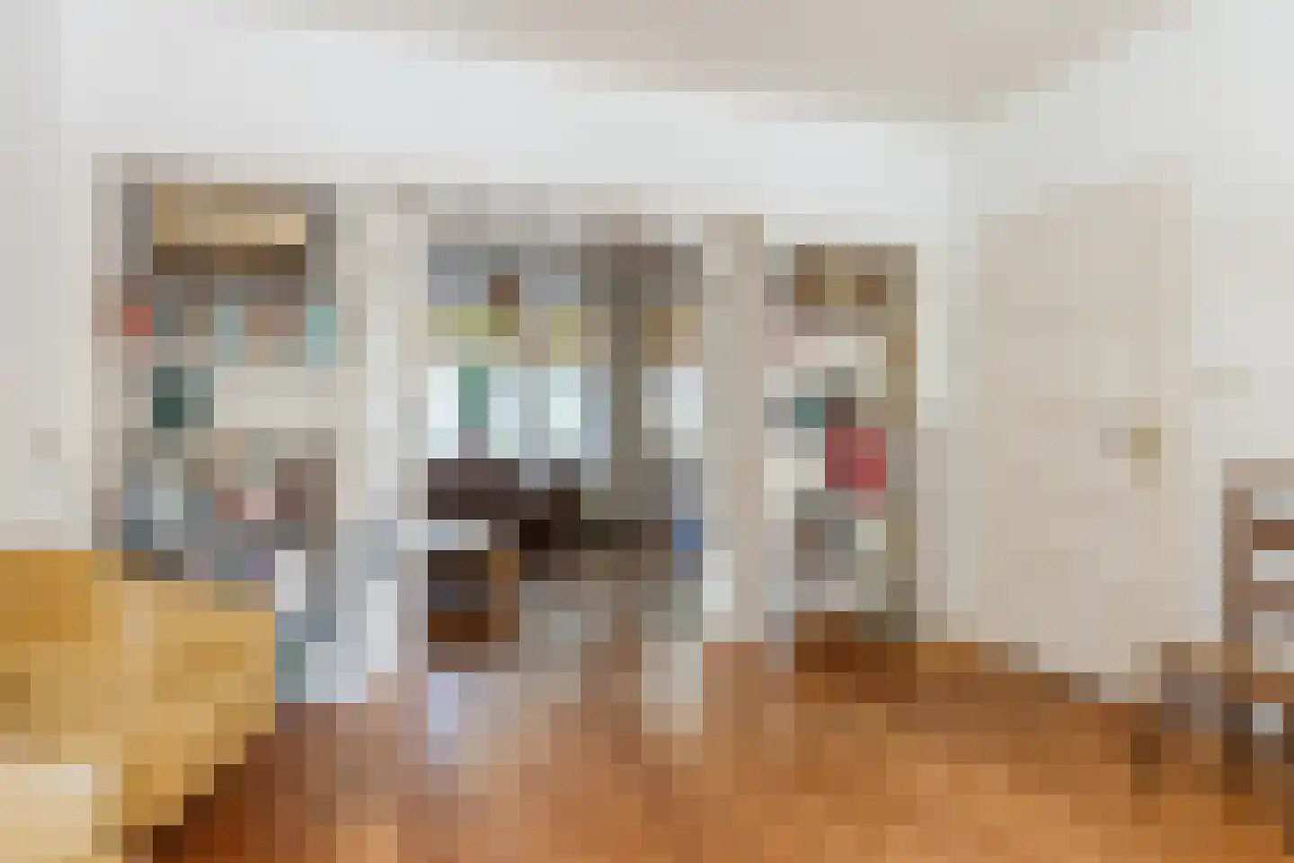 Varkensmarkt 15 Hilvarenbeek thumbnail 9