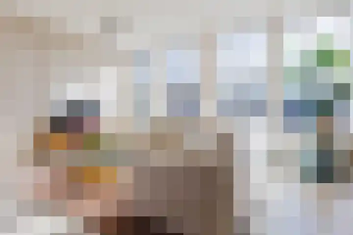 Varkensmarkt 22 A Hilvarenbeek thumbnail 12