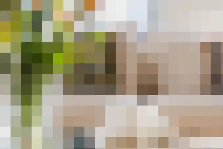 Varkensmarkt 22 A Hilvarenbeek thumbnail 17