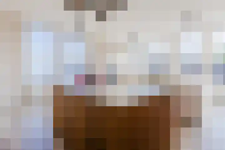Varkensmarkt 22 A Hilvarenbeek thumbnail 20