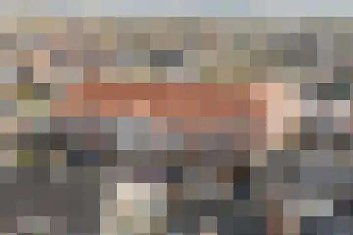 Varkensmarkt 22 A Hilvarenbeek thumbnail 37