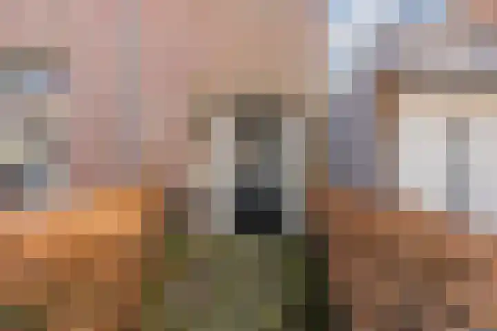 Varkensmarkt 22 A Hilvarenbeek thumbnail 41
