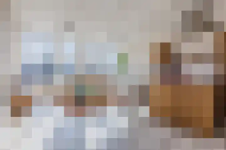 Varkensmarkt 22 A Hilvarenbeek thumbnail 8