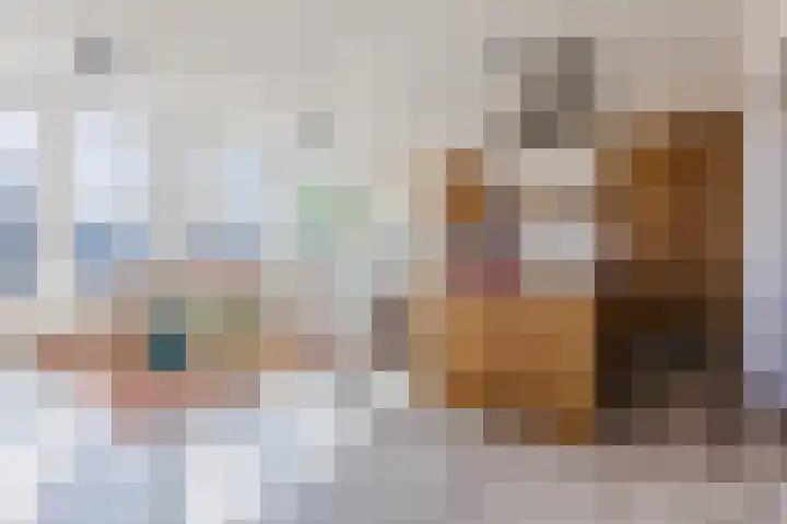 Varkensmarkt 22 A Hilvarenbeek thumbnail 9