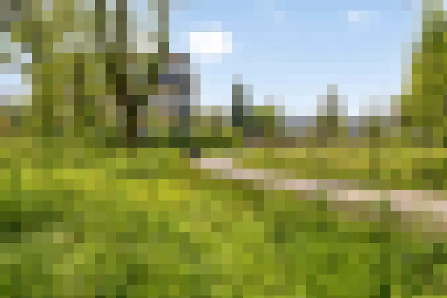 Varkensmarkt 3 Tilburg thumbnail 25