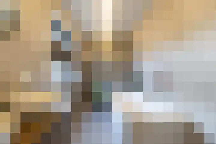 Varkensmarkt 7 Tilburg thumbnail 33
