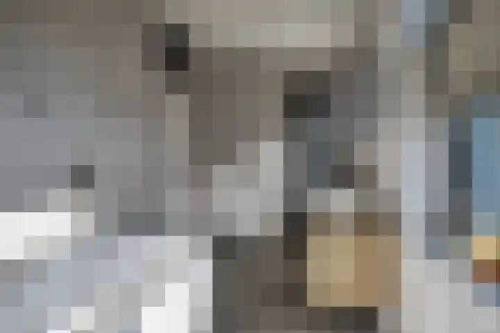 Varkensmarkt 7 Tilburg thumbnail 36