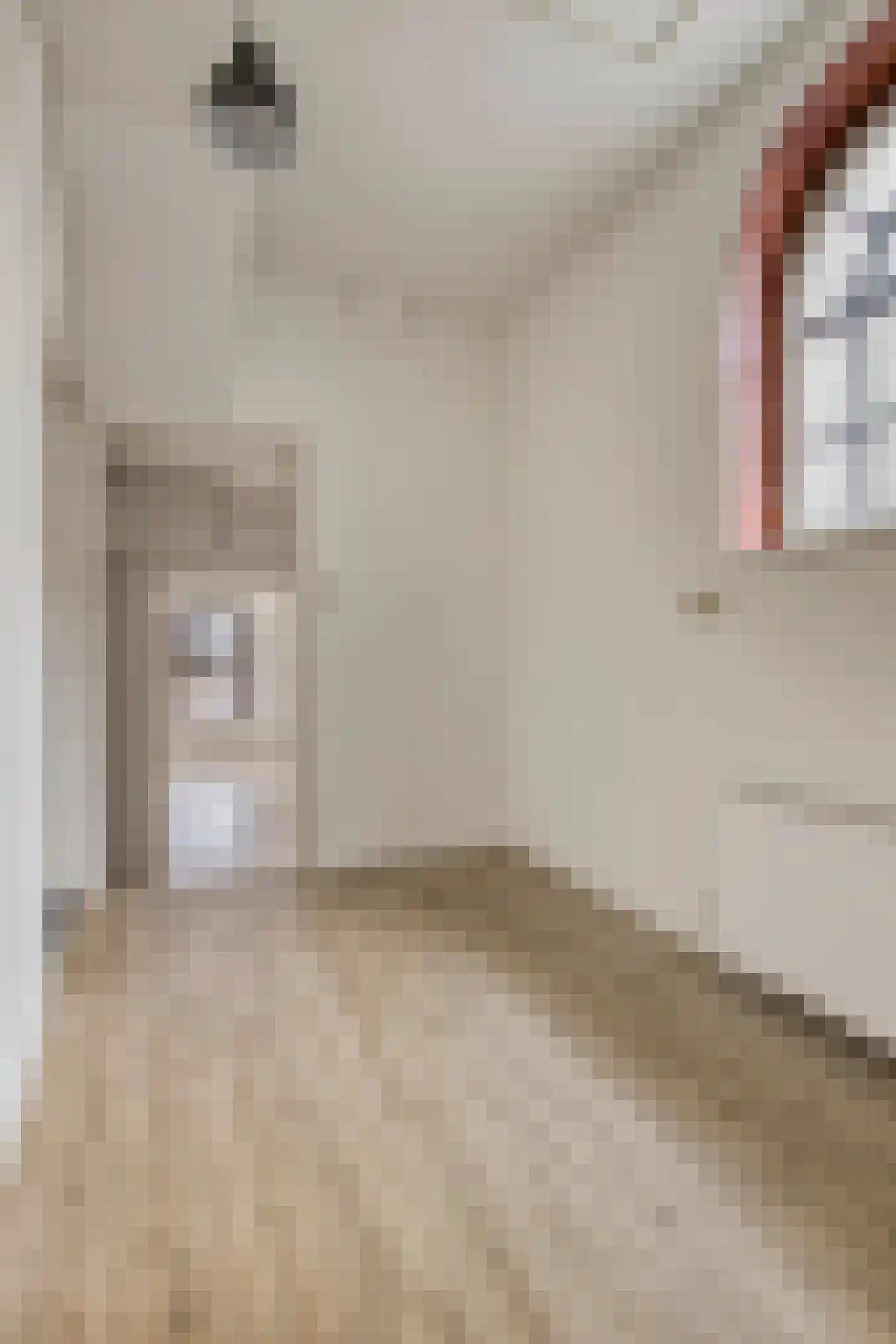 Varkensstraat 31 1 Arnhem thumbnail 19