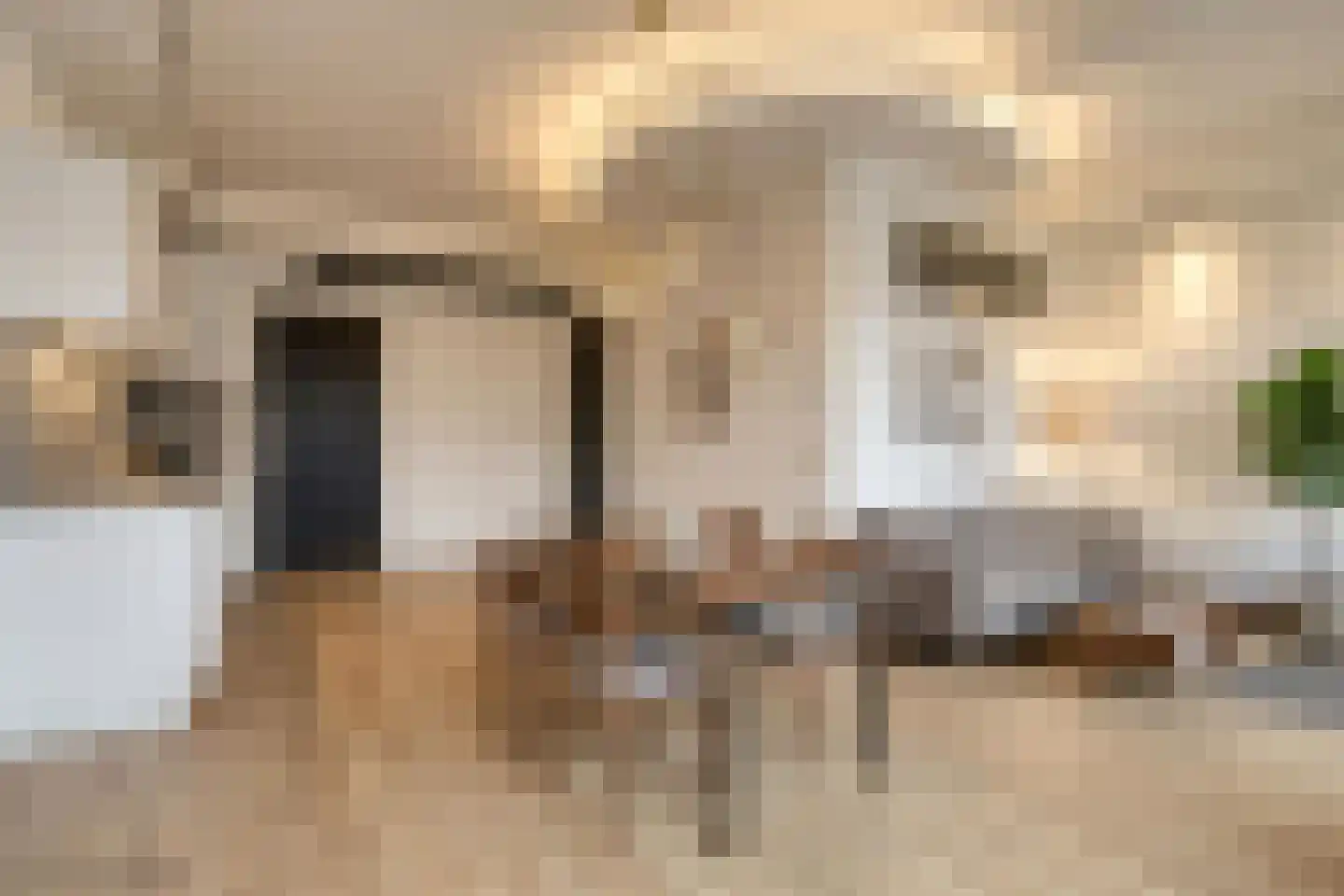 Varkensstraat 31 Arnhem thumbnail 4