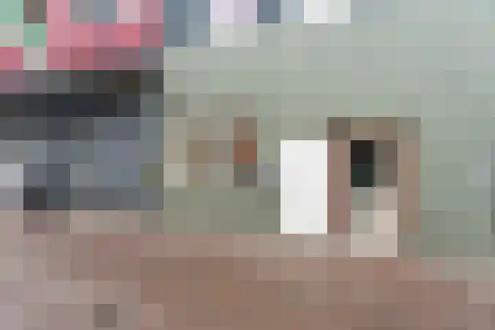 Varkensstraat 48 Arnhem thumbnail 9