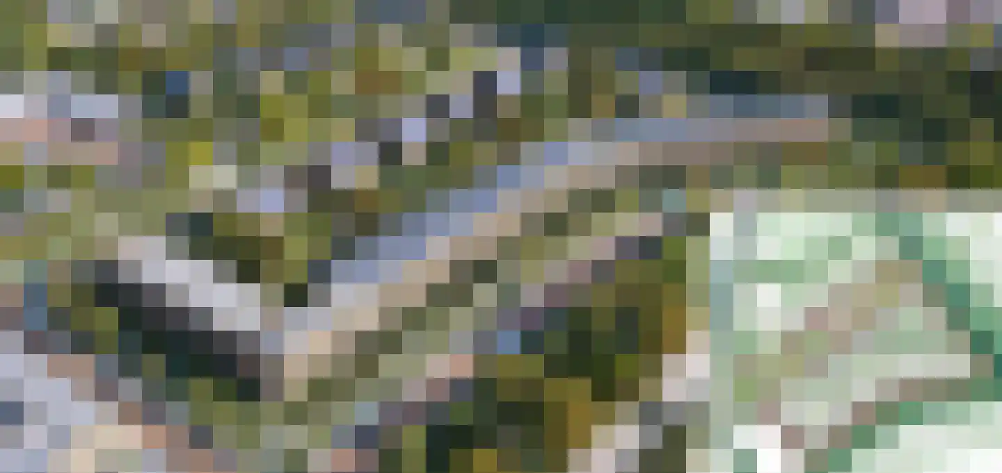 Varna 27 Dordrecht thumbnail 8